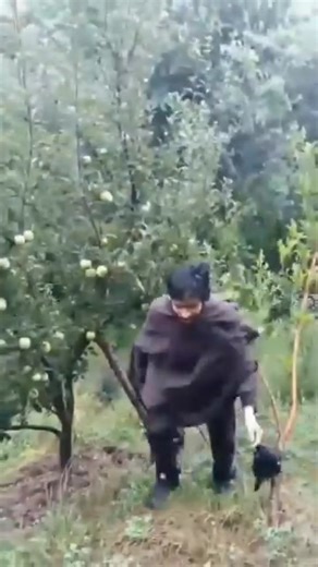 مقبوضہ جموں کشمیر کی آزادی کیلئے جدوجھد کر رہے کشمیری نوجوانوں کو سلام پیش کرتے ہیں ۔ | Funeral Of Council's