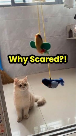 Why Your Cat Is Afraid of Bird Toys (It’s Not What You Think)