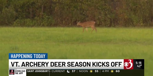 Archery deer season begins in Vermont