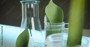 Cosmetic laboratory for creating natural organic bio beauty products from herbal ingredients, test tubes, artifical growing