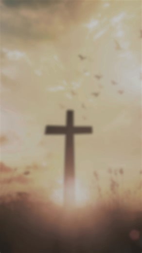 Want to discover the habits, truths, and characteristics that enable lasting change to happen in your life? Join Pastor Rick as he teaches God’s plan to transform us in 7 key areas of our lives: spiritual, physical, mental, emotional, relational, financial, and vocational. Pastor Rick will show you how unlocking the promises in God's Word and following his instructions will transform your life from the inside out. You’ll find freedom from your struggles, healing from your hurts, and relief from 