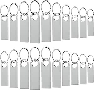 20 Pack 1GB USB Flash Drive with Keychains, Wooolken Sleek Metal USB 2.0 Thumb Drives Memory Stick for PC Laptop Computer(Sliver)