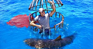 Shark Attack Test – Human Blood vs Fish Blood