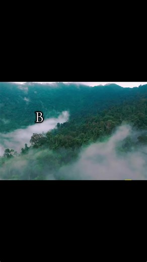 Discover the Underrated Bearcat: Nature's Unique Animal