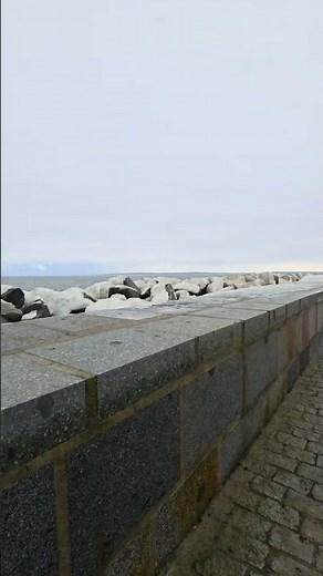 Sassnitz Hafen 360° Ansicht 23.02.2026