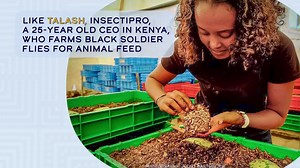 1.3K views · 60 reactions | #DidYouKnow farming insects could lead to 15 million new jobs in Africa? Join our experts, UNHCR, the UN Refugee Agency, and CEO of InsectiPro, Talash Huijbers, for a lively discussion on the many potential benefits of frontier agriculture for human food, animal feed and the environment. https://live.worldbank.org/insect-and-hydroponic-farming-africa-new-circular-food-economy | World Bank Africa | Facebook