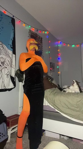 Exploring The Lorax Cosplay and Its Characters