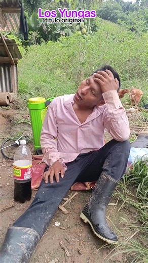 Descubre Los Yungas: Cultura Boliviana en TikTok