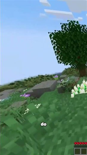 Exploring a New Minecraft World Open World Adventures