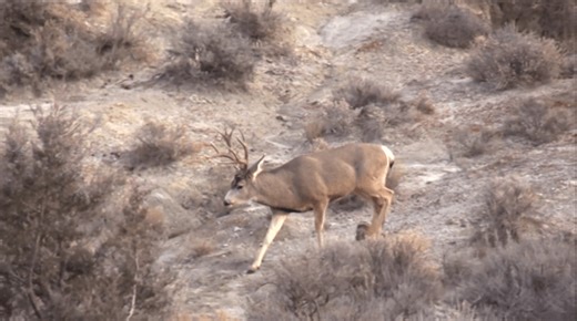North Dakota sets youth hunting season dates and guidelines