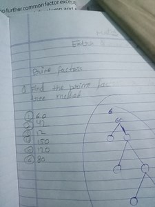 ExtreBrime factors(1) Find the prime foctree method.(1) 60... | Filo