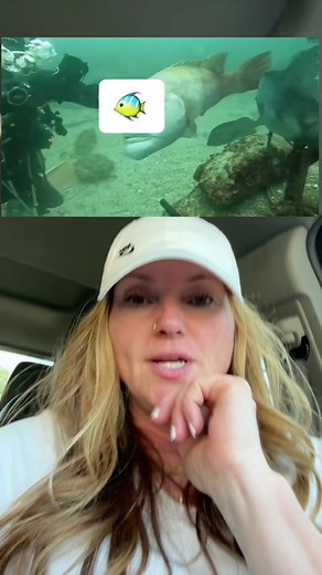 Funny Puffer Fish Acting Like a Dog - Must See Video