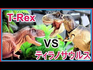 アニア 恐竜 アニメ アニマルアドベンチャー「 T Rex VS ティラノサウルス」 dinosaur Fight