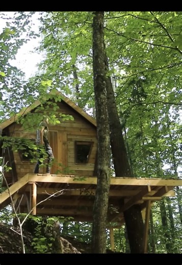 Alone build a wooden house as a shelter to survive in the forest #survival #bushcraft #shelter #wilderness #outdoors
