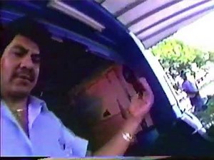 Nick Jr. Presents What's the Buzz with Philomena Fly: Car Wash