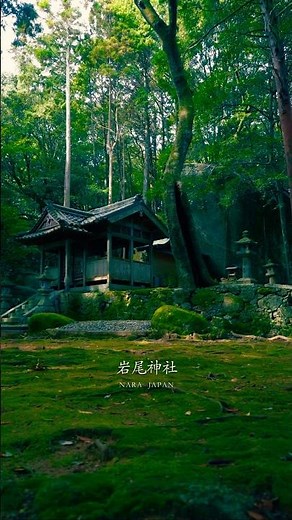 古代の巨岩信仰が残る秘境神社が凄かった！岩尾神社 Iwao Shrine #shorts #travel #japan #奈良 #秘境 #旅