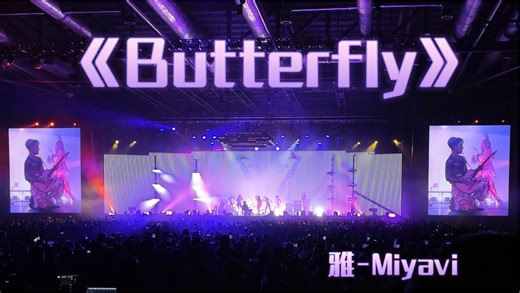 《Butterfly》Miyavi上海演唱会20241130