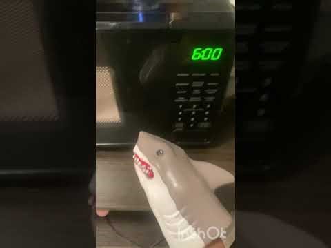 puppet shark makes noodles remake