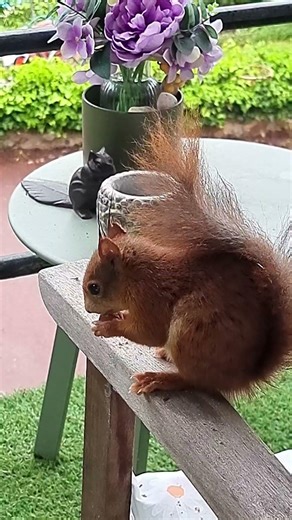 encore un dimanche pluvieux 🤨🤨