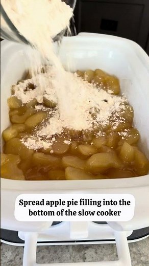 Easy Crock Pot Apple Crisp with Cake Mix | Warm, Gooey & No-Fuss Dessert | #shorts