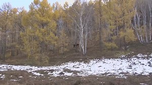 11K views · 586 reactions | #Climatechange poses a serious threat to global food security, sustainable development and poverty reduction. To achieve a zero hunger world, #UNFAO is working to reduce climate change related impacts on agriculture. Watch this video to learn more about our efforts. | Food and Agriculture Organization of the United Nations (FAO) | Facebook