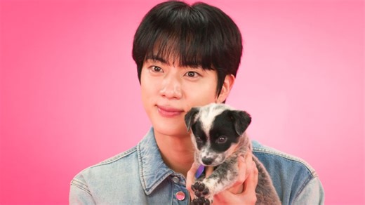 Jin Says He’d Love to Collab With Bruno Mars in Puppy Interview