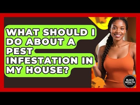 What Should I Do About A Pest Infestation In My House? - Black Wealth Estates
