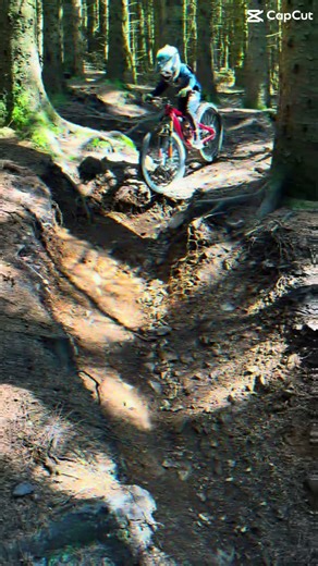 Mtb/ at ballater and glentress