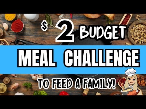 EXTREME BUDGET CHALLENGE | TO FEED A FAMILY