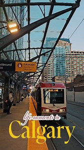My Beautiful City CALGARY 💙. 📣Where’s your childhood city? . . . #calgaryliving #explorecanada #yycliving #yyc #alberta #calgarylife #canada #calgary #travel #yycphotography #calgarydowntown #citylife #city #cityscape | Calgary Connections