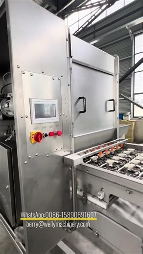 Egg Breaking and Separating Machine | Egg Liquid Separator | Industrial Egg Processing Machine#eggs