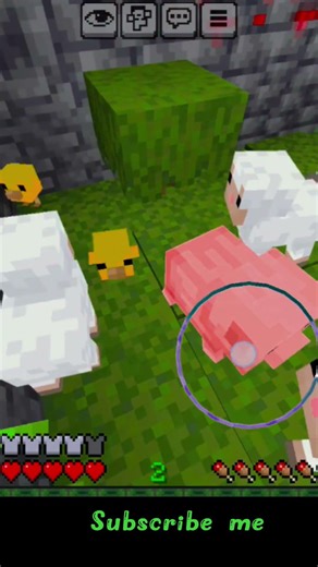 #minecraft #Fynnu hunger