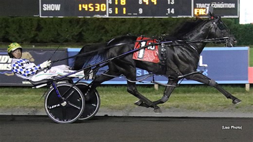 Confederate, Cannibal Take Meadowlands Pace Eliminations