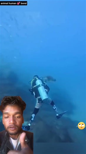 Jab do logo ne ek kachua ki jan bachai tab #shortvideo #shorts #subscribe