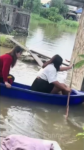 Cat Boxing Fail & Boat Flip: Unexpected Viral Moments! #shorts