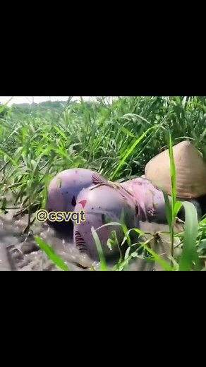 Learn the Latest Fishing Trends with @ly.tieuda