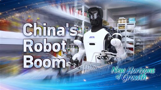 Inside China's push to turn robots from 'big toys' into intelligent machines