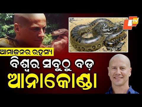 ଆମାଜନ୍‌ରେ ମିଳିଲା ସବୁଠୁ ବଡ଼ ଆନାକୋଣ୍ଡା ! Scientists Discover the Largest Anaconda Ever !