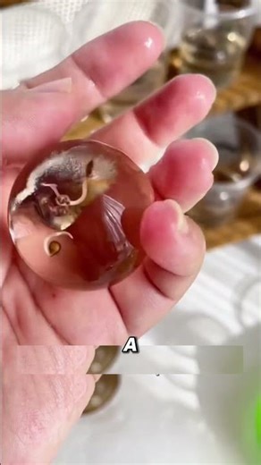 What happens when you plant a seed in jelly? 🤯