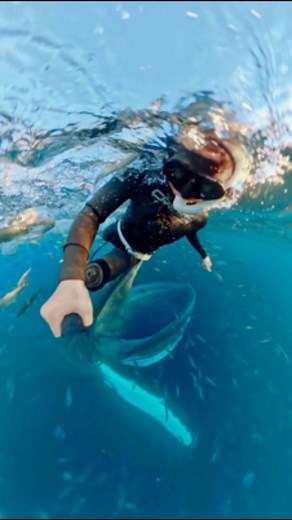 Cindy Yang | Waterwoman & Coach on Instagram: "A day in my life as a freediving coach and ocean guide… filmed in Norway using Ocean Glide Wetsuit Lube @ogwetsuitlube  Copyright @cindyatsea #oceanglide #ogwetsuitlube #cindyatsea"