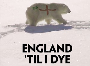 The truth behind Paddy Power's polar bear World Cup stunt