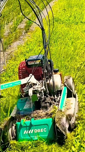 オーレック スパイダーモアの実力は❓#オーレック #スパイダーモア #OREC#mowing #草刈り#農業 #農家 #kubota #草刈り機 #草刈機 #mowinggrass