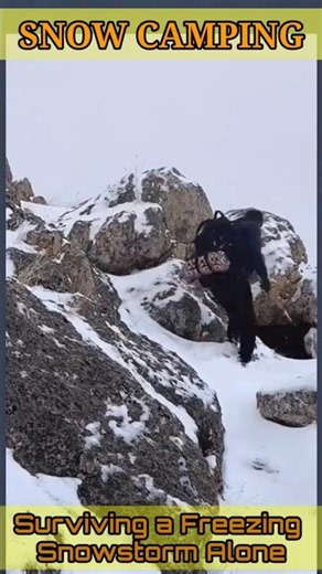 Survival Challenge in the Snow in the mountain ❄#wintercamping #snowcamping #camping #survival