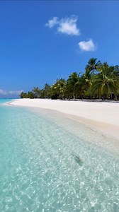 11K views · 722 reactions | The ocean breeze sets my mind at ease at Meeru Island Resort & Spa  #meeru #meeruislandresort #meerumaldives #meeruisland #beach #babyshark #beachlife | Meeru Maldives | Facebook