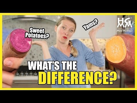 What's The Difference Between Yams and Sweet Potatoes?
