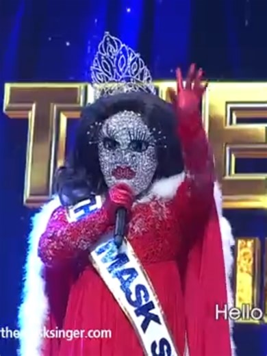 Q&A About The Mask Singer Characters and Champions