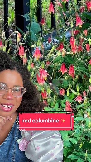 HUMMINGBIRD FOOD 🤝 PEOPLE FOOD (sometimes)#greenscreenvideo | bird