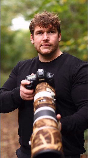 Wild Poland, just some of the incredible species photographed in the remote forests of Poland. | Sean Weekly Photography