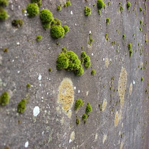 Masaya Kato - Wavefront Aberrations