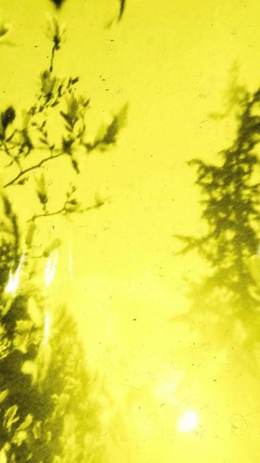 386 reactions · 31 shares | LOADS of Remixes out now ⚠️ featuring new takes on Bush classics from Gavin Rossdale, Corey Britz, Nightmares On Wax, GLU, Junior Sanchez, and Jason Aalon Butler now streaming at found.ee/bush-remixes | Bush | Facebook